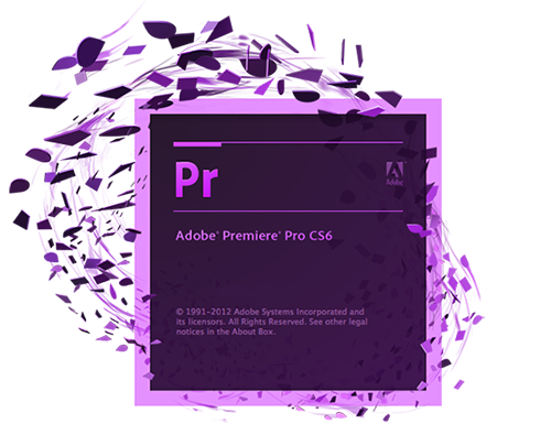 Fungsi Adobe Premier
